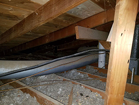 Attic Cleaning and Insulation